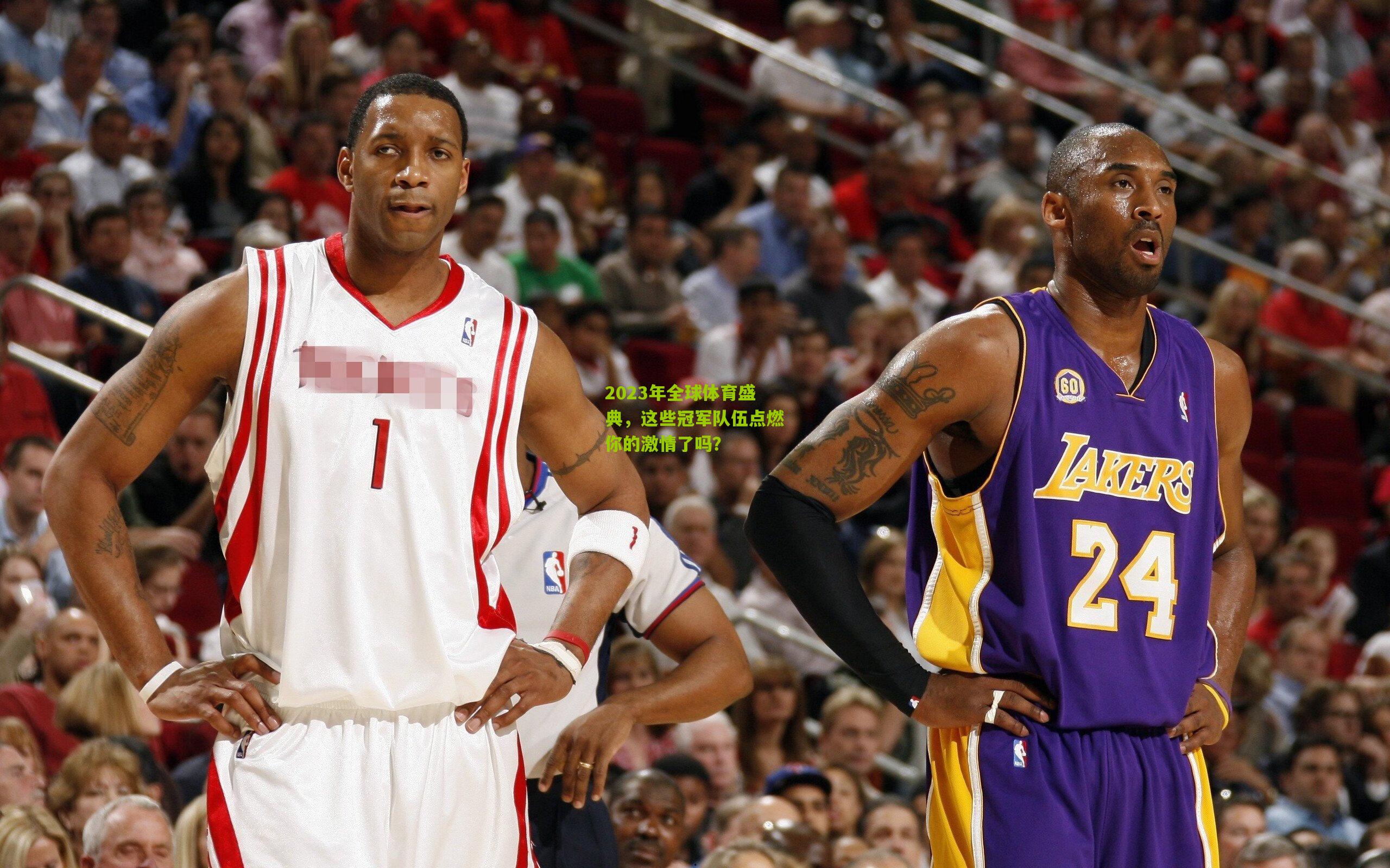 熊猫体育官网_2023年全球体育盛典，这些冠军队伍点燃你的激情了吗？