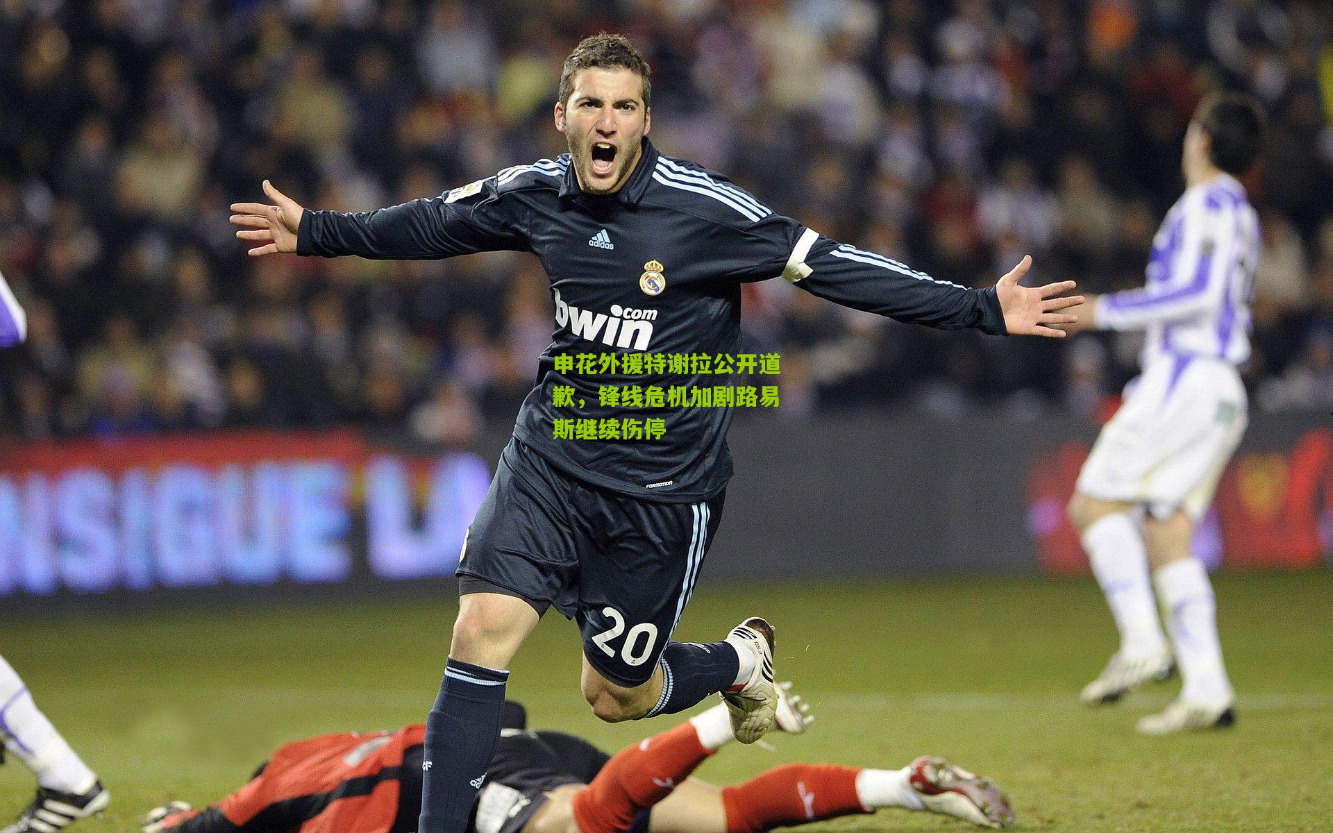 熊猫体育官网_申花外援特谢拉公开道歉，锋线危机加剧路易斯继续伤停