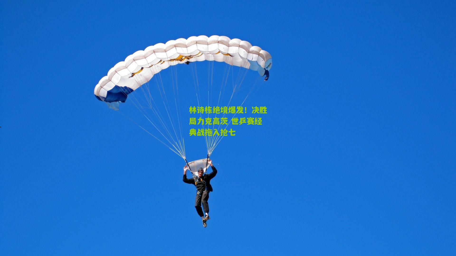 熊猫体育官方平台-林诗栋绝境爆发！决胜局力克高茨 世乒赛经典战拖入抢七